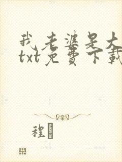 我老婆是大明星txt免费下载