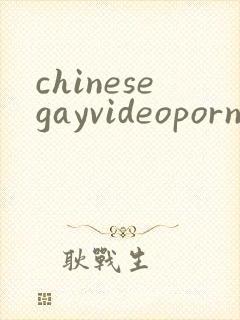 chinesegayvideoporn