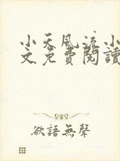 小天风流小说全文免费阅读无弹窗下封面