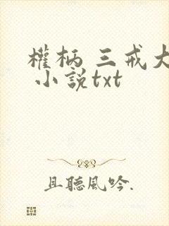 权柄 三戒大师 小说txt