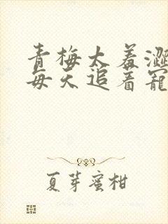 青梅太羞涩竹马每天追着宠