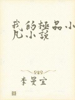 我的极品小姨叶凡小说