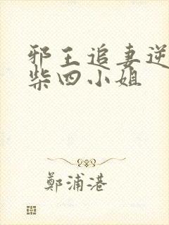 邪王追妻逆天废柴四小姐