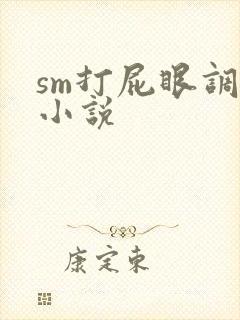sm打屁眼调教小说