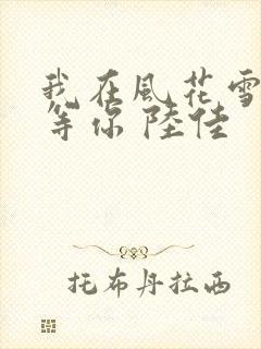 我在风花雪月里等你 陆佳
