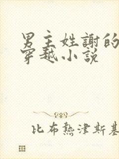 男主姓谢的古代穿越小说