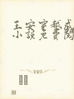 王安穿越成太子小说免费阅读