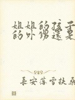 姐姐的孩子是我的外甥还是侄子