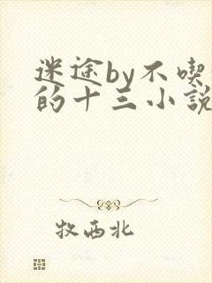 迷途by不吃甜的十三小说免费阅读
