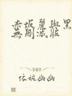 赤坂丽与黑人的无删减版