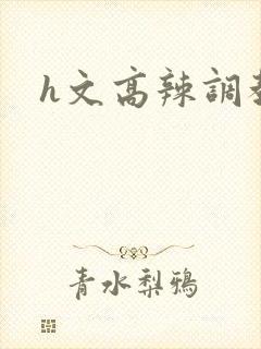 h文高辣调教