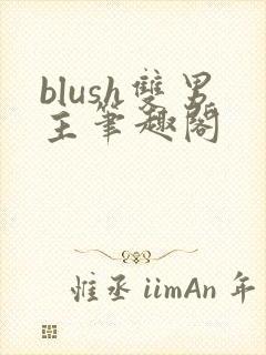 blush双男主笔趣阁