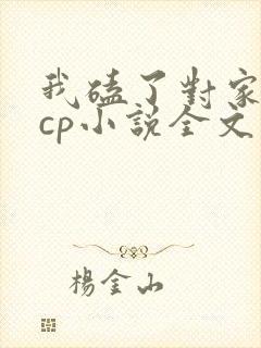 我磕了对家我的cp小说全文免费阅读