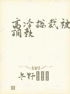 高冷总裁被下属调教
