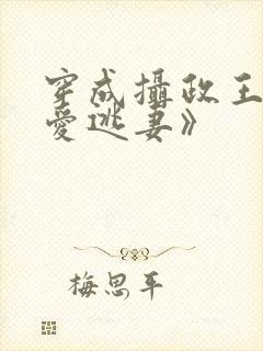 穿成摄政王的侍爱逃妻》