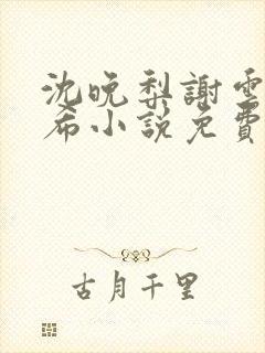 沈晚梨谢云迟叶希小说免费阅读