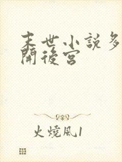 末世小说多女主开后宫