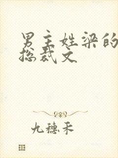 男主姓梁的小说总裁文