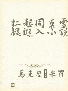 扛起同桌雪白双腿进入小说