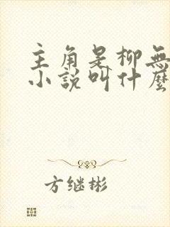 主角是柳无邪的小说叫什么?