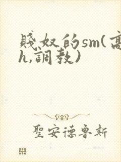 贱奴的sm(高h,调教)