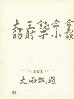 大王饶命会说话的肘子小说完全版封面