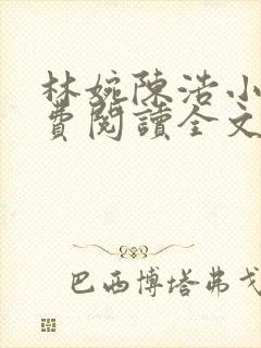 林婉陈浩小说免费阅读全文最新章节封面