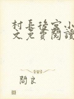 村长后宫小说全文免费阅读笔趣阁封面