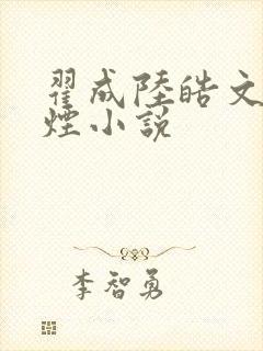 翟成陆皓文柳如烟小说封面
