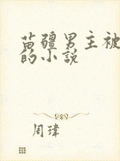 苗疆男主被囚禁的小说