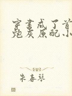 穿书成了首辅的炮灰原配小说封面