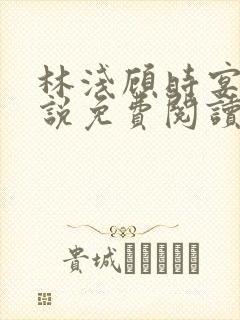 林浅顾时宴的小说免费阅读
