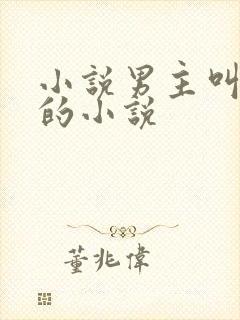 小说男主叫楚枫的小说