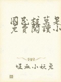 国民校草是女生免费阅读小说