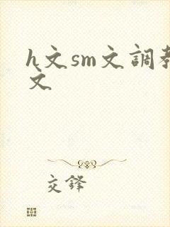 h文sm文调教文