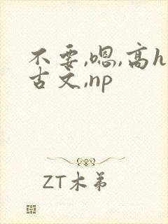 不要,嗯,高h古文,np