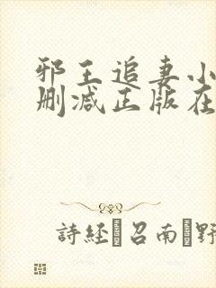 邪王追妻小说无删减正版在线阅读