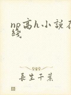 np高h小说在线封面