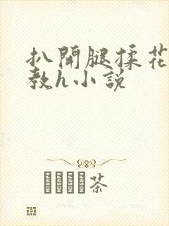 扒开腿揉花蒂调教h小说封面