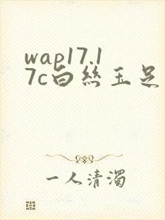 wap17.17c白丝玉足交