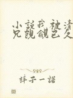 小说我被清冷师兄觊觎已久小说