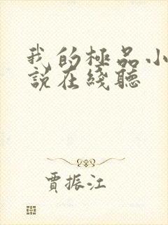 我的极品小姨小说在线听封面