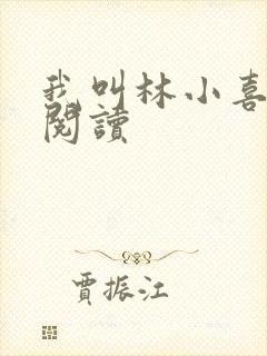 我叫林小喜第二阅读封面