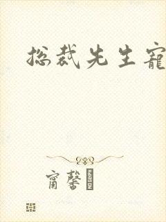 总裁先生宠宠我