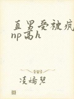 直男受被疯批强np高h