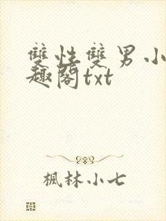 双性双男小说笔趣阁txt