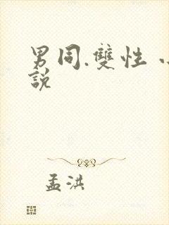 男同.双性 小说封面