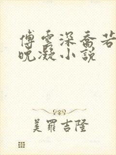 傅云深乔若桑谢晚凝小说封面