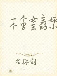 一个女主嫁给多个男主的小说