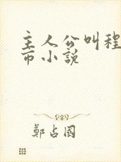 主人公叫程浩都市小说